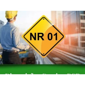 Elaboração de PGR & Treinamento NR-01 – Disposições Gerais e Gerenciamento de Riscos Ocupacionais.